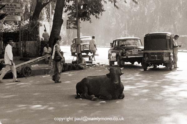 paul smith india101