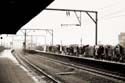chelmsford rail012